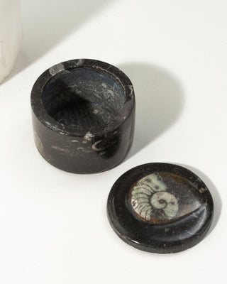 Ammonite Stash Box