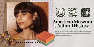 The Allure of Ammonite: Ancient Spirals Reimagined