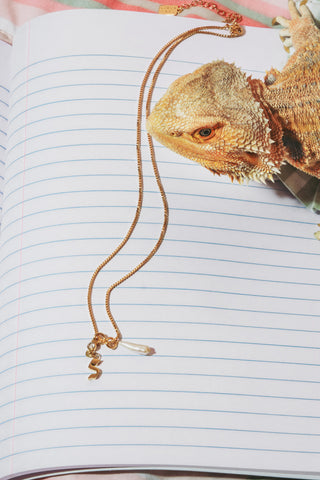 A small lizard resting on an open lined notebook with a gold necklace draped across the pages. 