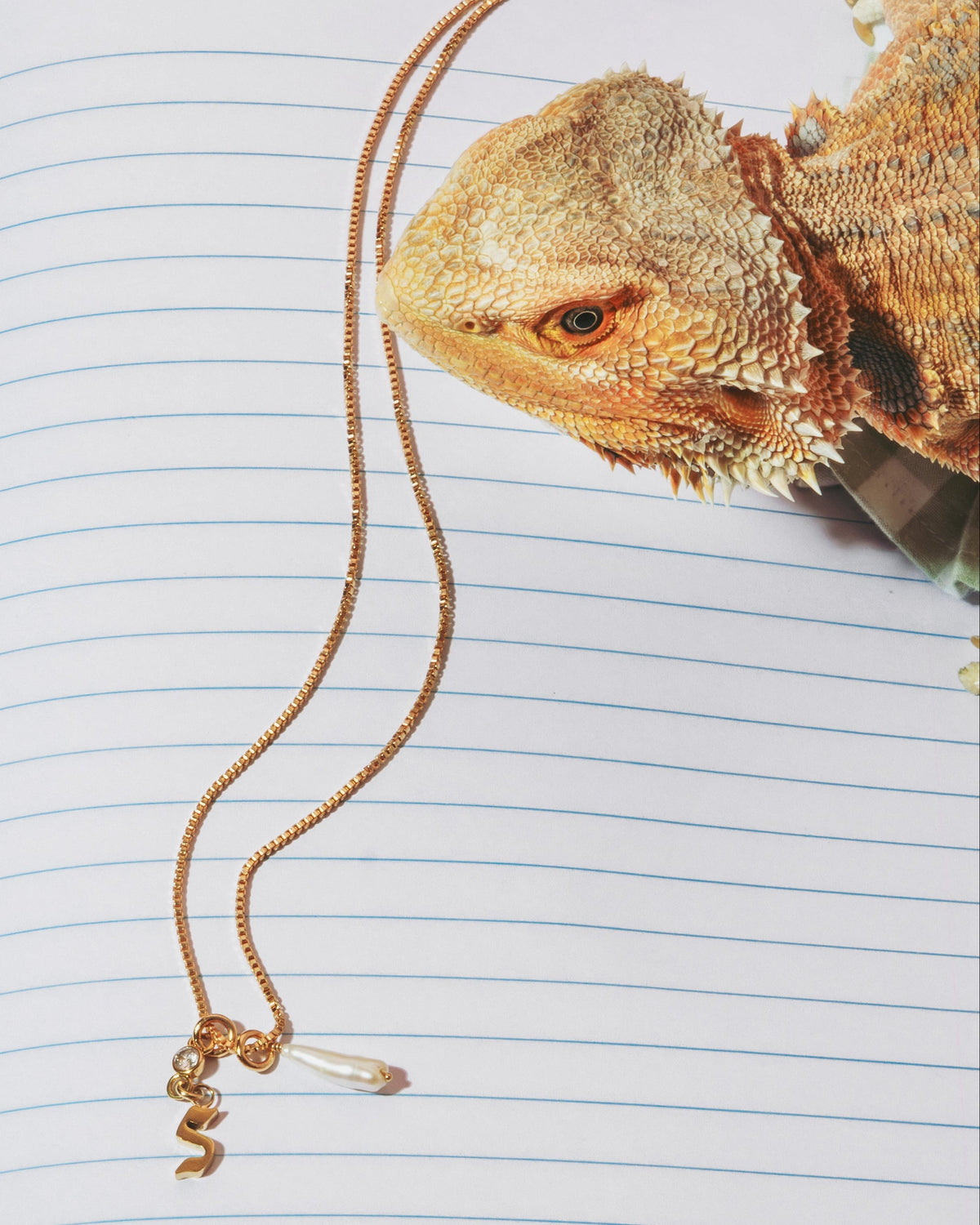 A small lizard resting on an open lined notebook with a gold necklace draped across the pages. 