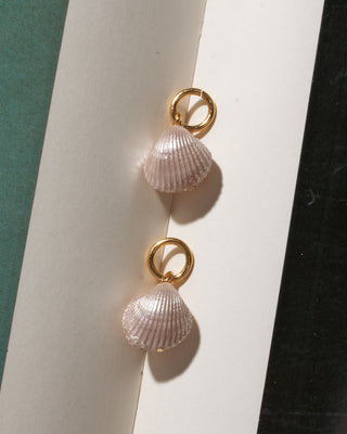 Pair of shell-shaped earrings with gold loops on a white background