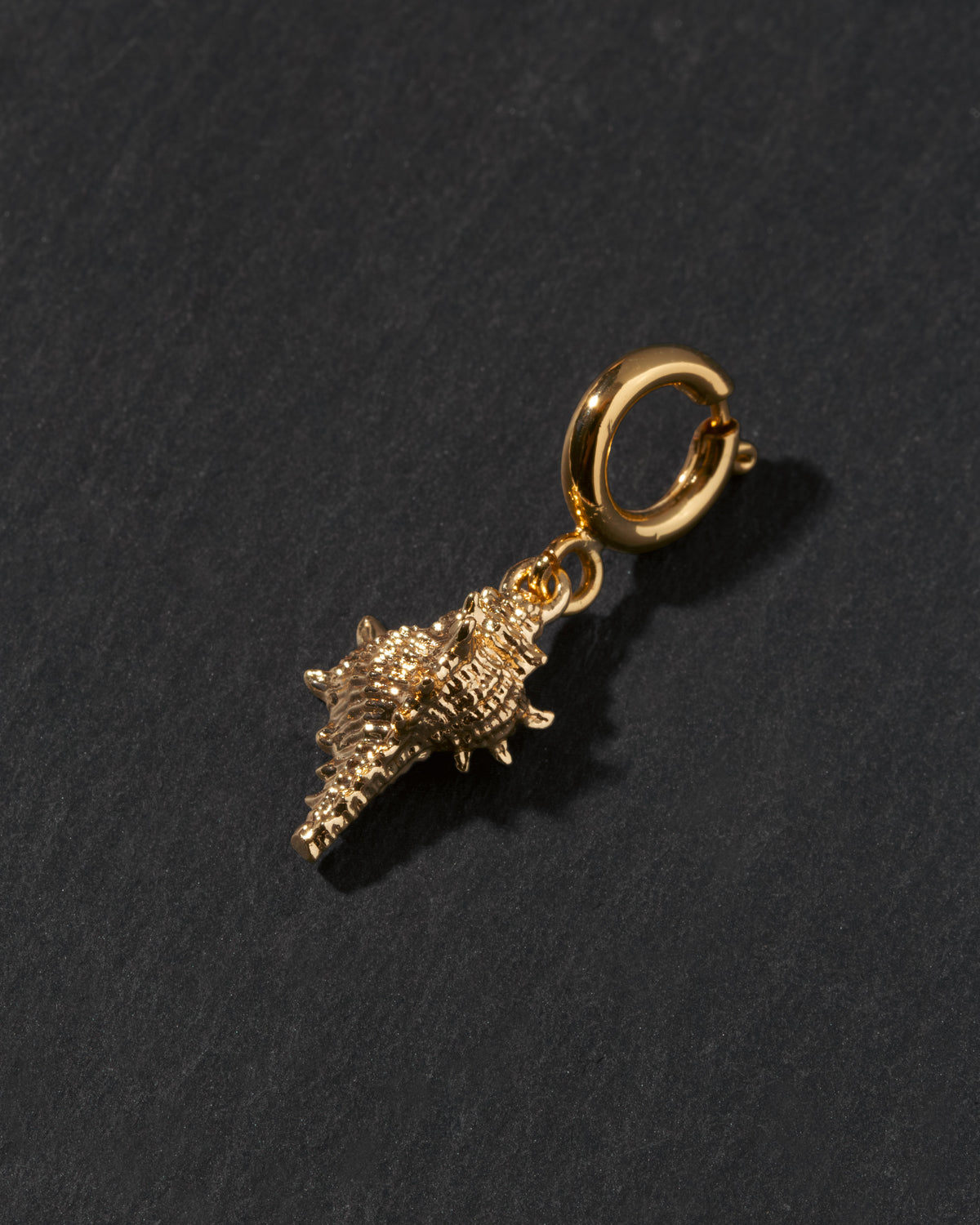 Gold conch shell c-clasp charm on a black background