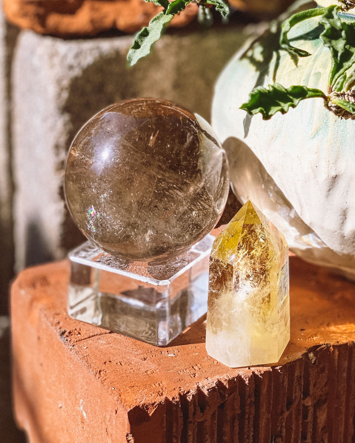 Crystal ball and crystal on a wooden surface with plants in the background