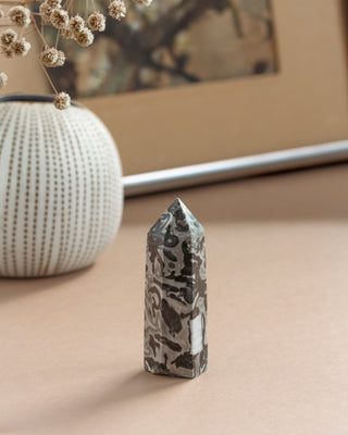 Decorative stone on a beige surface with a blurred vase and plant in the background