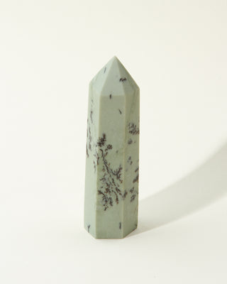 Marble-like stone with black dendritic speckles on a white background