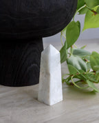 White stone obelisk on a light surface with green leaves in the background