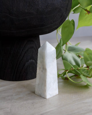 White stone obelisk on a light surface with green leaves in the background