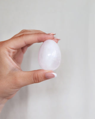 Hand holding a white egg against a plain background