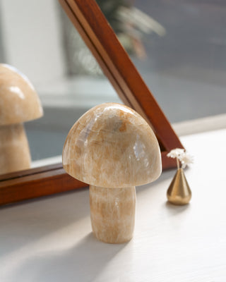 Decorative mushroom sculpture on a reflective surface with a mirror in the background