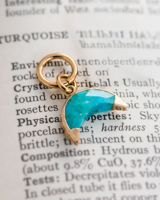 Crescent moon turquoise charm earring with an attached to gold-colored hoop closure, displayed on a book page with text.