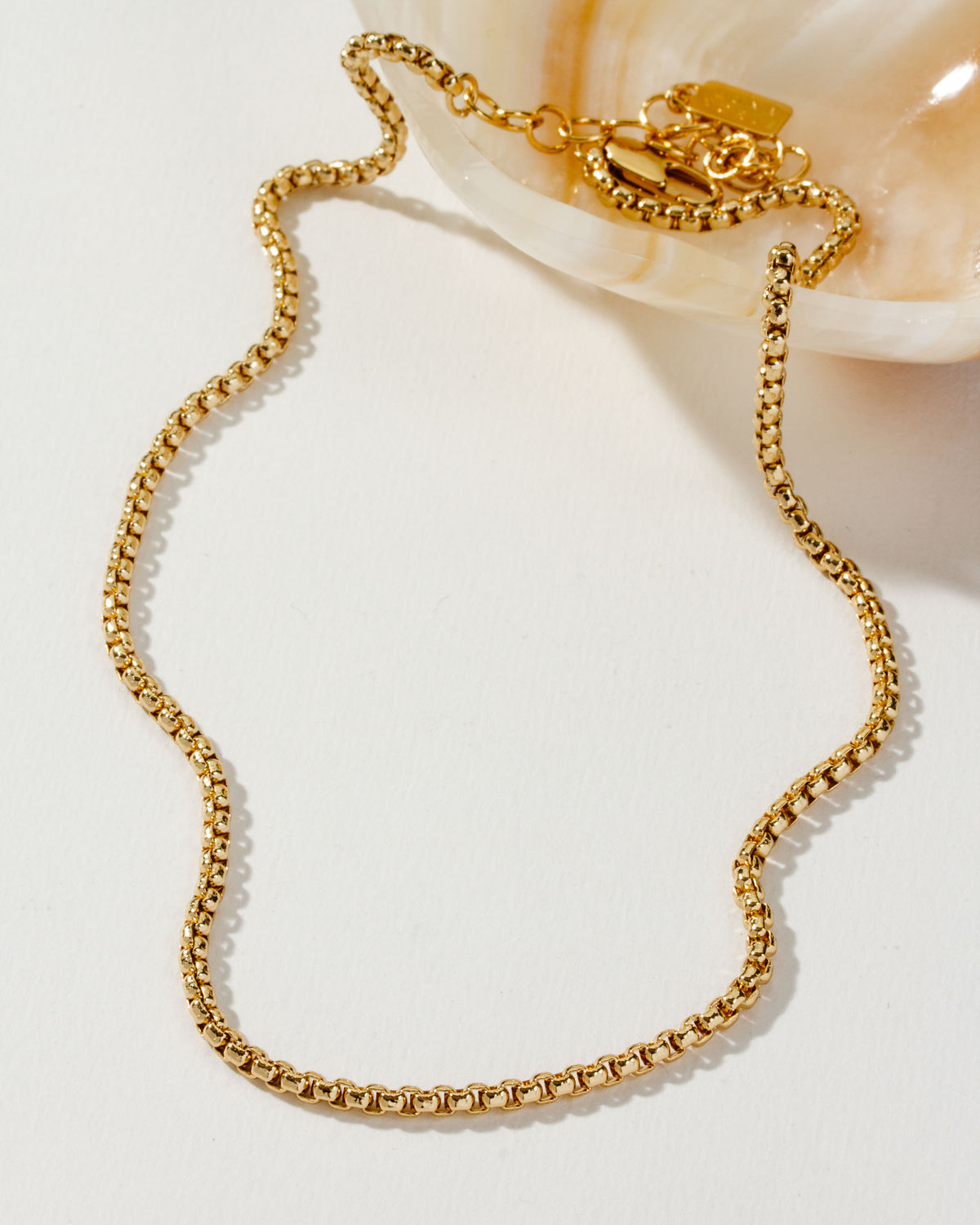 A gold Tubular Popcorn Classic Chain is draped near a shell.