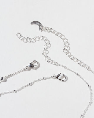 Silver chain necklaces with clasps on a white background