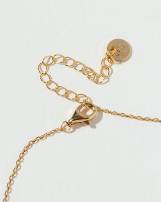 Detail of gold chain necklace with lobster clasp on a white background.