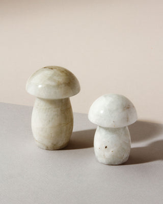Micro Dose Gemstone Standing Mushroom Crystal