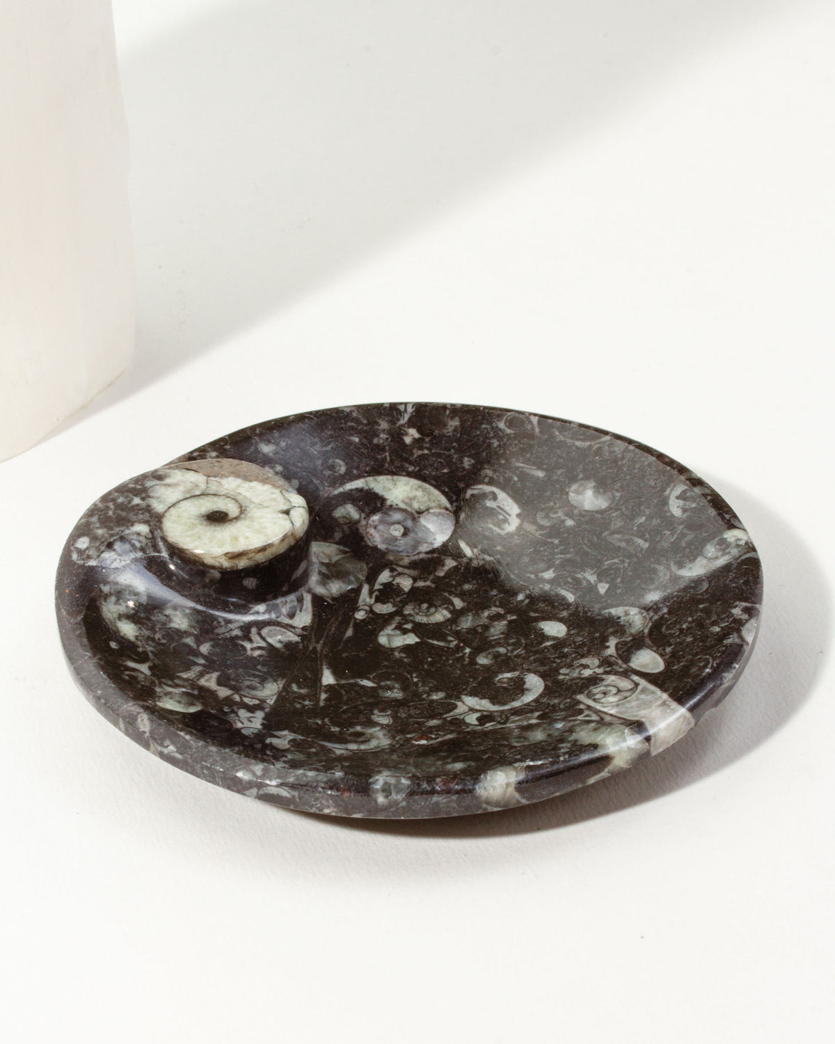 Black Journey of Life Catchall featuring Ammonite fossils.