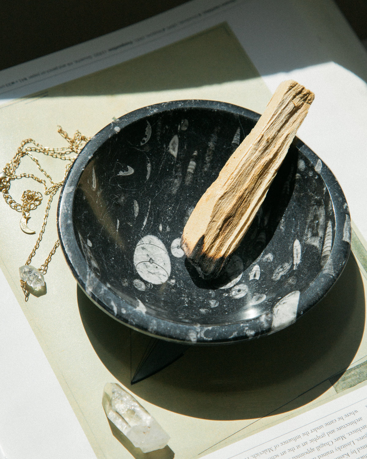 Ammonite catchall dish with a palo santo stick inside, with a necklace and quartz crystal nearby.