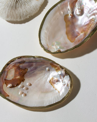 Two shell bowls with gold edges on a light background