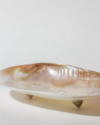 Shell dish on a white background