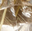 Rutilated Quartz