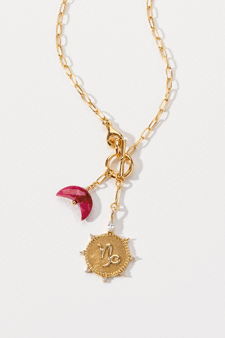 A84. Luna Norte 14k Gold Adorned Toggle Necklace