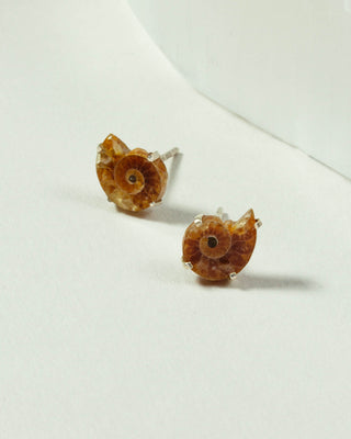 Pair of ammonite fossil stud earrings, set in silver.