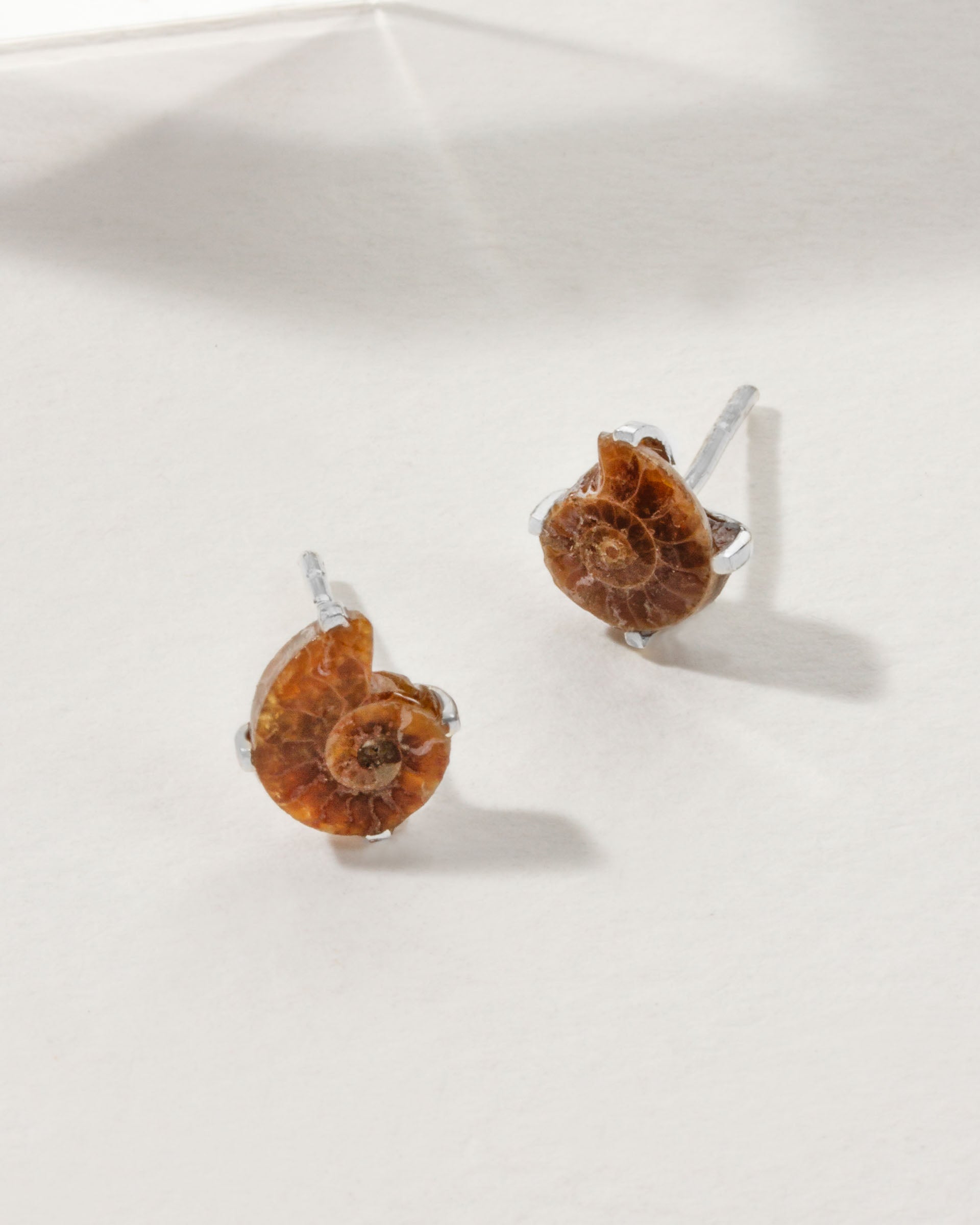 Sterling silver post earrings with a brown ammonite fossil design.