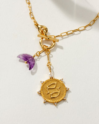 Pisces Zodiac symbol gold plated toggle necklace with amethyst crescent moon by Luna Norte